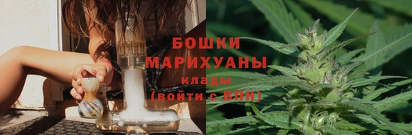 винт Богданович