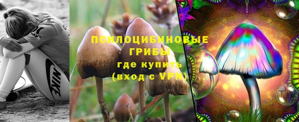 винт Богданович