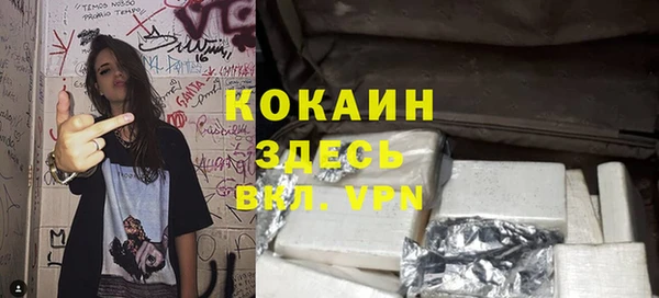 винт Богданович
