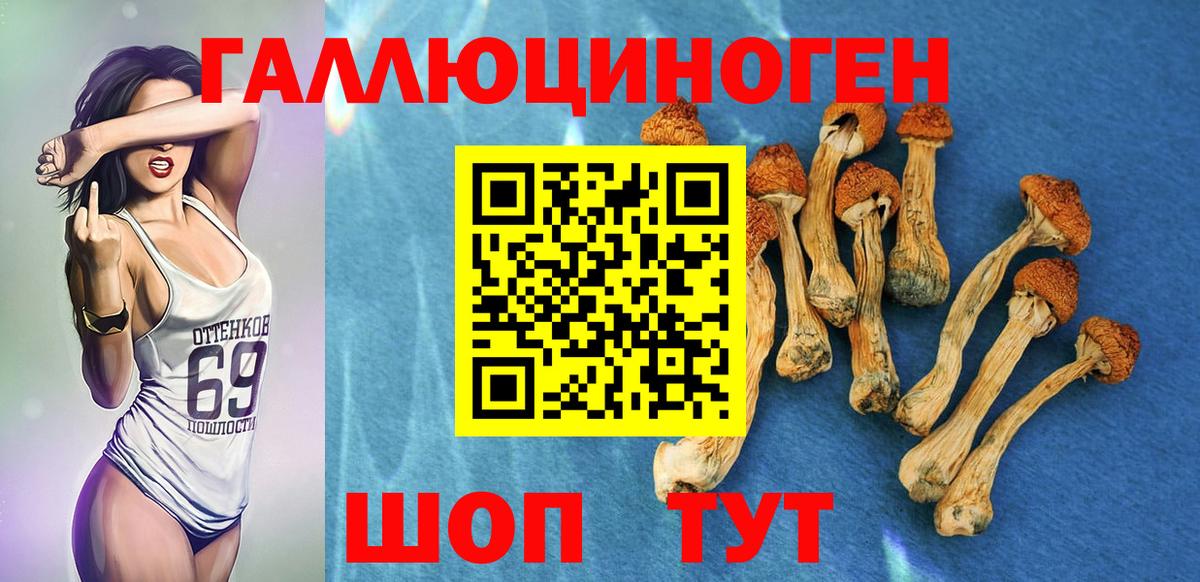 Псилоцибиновые грибы мухоморы Острогожск
