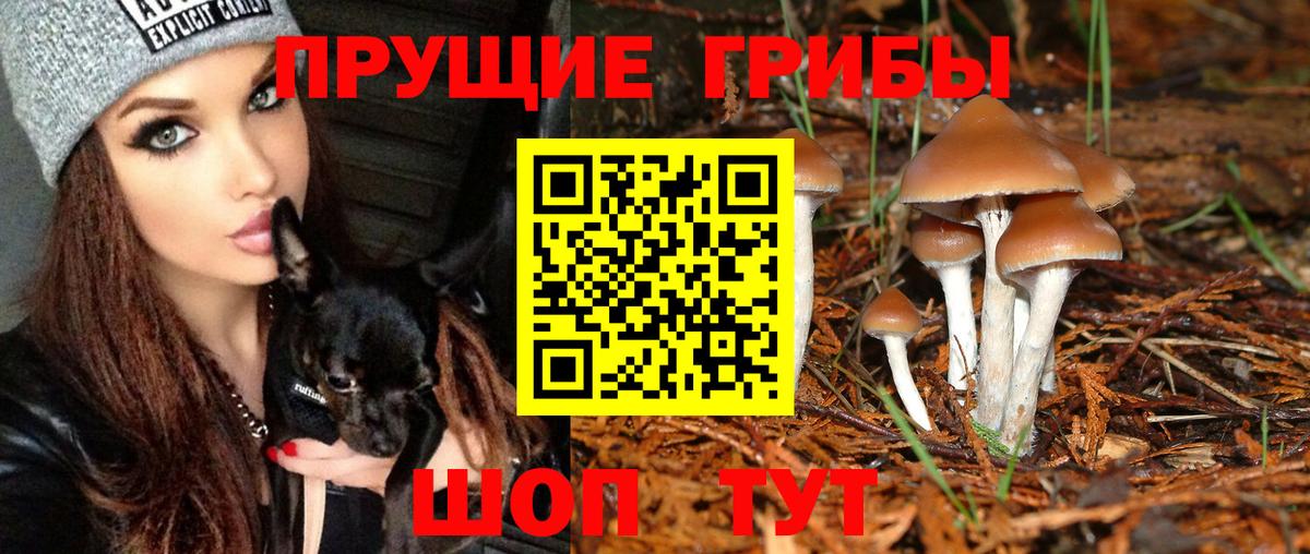 Псилоцибиновые грибы ЛСД  Вход с VPN  наркотики  Острогожск 